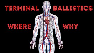 Terminal Ballistics - The Where \u0026 Why