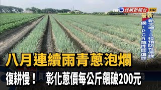 雨災+復耕慢 彰化蔥價每公斤飆破200元－民視新聞