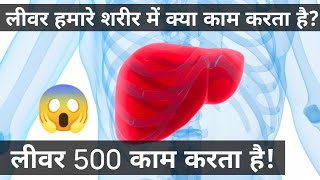 Functions of liver | हमारे शरीर में लीवर क्या काम करता है ?