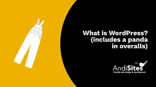 What is WordPress? (includes a panda in overalls)