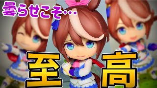 【ねんどろいど開封】反則すぎる可愛さ！トウカイテイオーを拝みまくる‼️