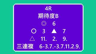 高知競馬全レース予想　２月２３日　ウマライフ