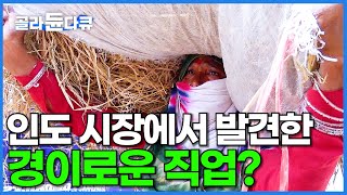 건당 480원. 24시간 돌아가는 인도 시장에서 발견한 밥벌이 극악의 직업?│인도 시장 짐꾼의 하루│극한직업│#골라듄다큐