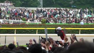 競馬 G1 2010年 第77回 日本ダービー エイシンフラッシュ ウイニングラン