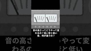 143_音の高さってどうやって変わるの？高い音と低い音、何が違うの？　#科学 #理科 #雑学 #音響  #物理 #高校物理 #shorts