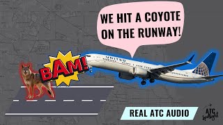 United Airlines Plane Hits Coyote on Runway: ATC Audio Captures Emergency Return to Chicago