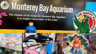 Things To Do in Monterey Bay California | Explore Monterey Bay Aquarium | @MontereyBayAquarium |