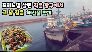 [아재들 취향저격 노포 찐맛집] 파도소리 들리는 포차느낌 물씬 나는 선주들의 횟집! 보기힘든 전복치와 잡어들로 배 채운 날. 새벽에 직접 잡아 바로 파는 강원도 설악항활어회센터.