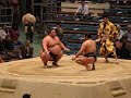 sumo wrestling division six jonokuchi division march 24 2016 edion arena