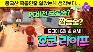 중국산 짝퉁 모동숲? PC버전 모동숲? 전세계인들에게 욕 많이 먹었던 그 게임 드디어 출시임박!