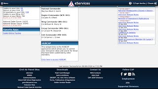How to use Eservices