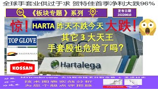 【板块专题】惊！HARTA 昨天不跌今天却大跌！船要沉了 吗？其它 3 大天王手套股也危险了吗？20220810