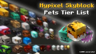 Ranking EVERY SINGLE PET in Hypixel Skyblock...