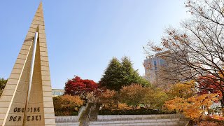 【4K Univ】Sogang University Seoul Korea 西江大学 서강대학교