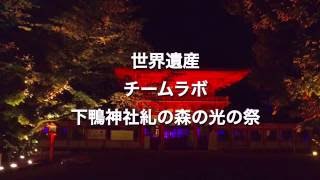 下鴨神社（賀茂御祖神社）糺の森の光の祭【空撮】