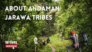 Discover the Hidden Secrets of Baratang | Andaman Tourism
