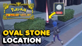 Pokemon Scarlet & Violet - Oval Stone Location