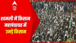 Ground Report: शामली में किसान महापंचायत में उमड़े किसान | Farmers Protest