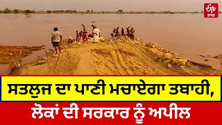 Satluj River Overflow: ਸਤਲੁਜ ਦਾ ਪਾਣੀ ਮਚਾਏਗਾ ਤਬਾਹੀ, ਲੋਕਾਂ ਦੀ ਸਰਕਾਰ ਨੂੰ ਅਪੀਲ