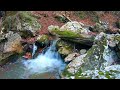 discover the tranquil charm of a small waterfall