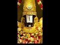 tirupati dont miss திருப்பதி ஏழுமலையான் தரிசனம்