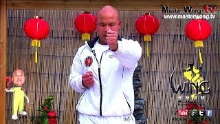 wing chun basics - How to do basic punches, Lesson 2