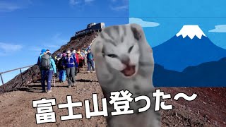 富士山に登った話。しんどかったよ【猫ミーム】#猫ミーム　 #猫マニ　 #猫meme