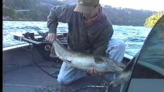 Salmon Lower Niagara Get-Reel Fishing