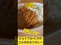 ヒカル japan carry カツカレー ジョイフル カレー おいしい