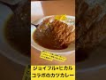 ヒカル japan carry カツカレー ジョイフル カレー おいしい