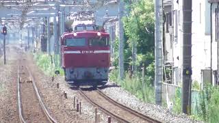 神立試単　試単8937レ　EF81‐80　JR常磐線新松戸駅通過