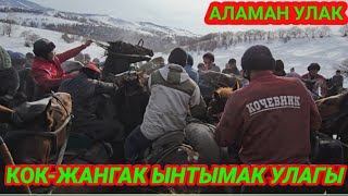 Ынтымак Аламан Улак Кок-Жангак