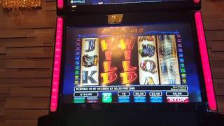 Wild Life Slot Bonus - Illinois Bar