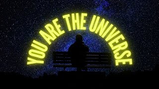 You Are The Universe - Alan Watts