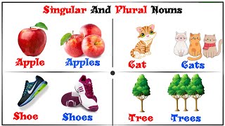 Singular and Plural Nouns Easy for Kids! | Singular and Plural | English Vocabulary Learning Kids