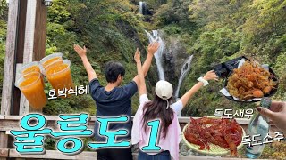 [여행vlog] 대형크루즈타고 울릉도 여행 | 울릉도맛집 독도새우 🦐 천금수산 | 호박식혜 | 봉래폭포 | 효도 가족여행 🩷