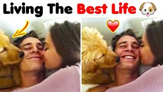 You'll Get A Dog After Watching This ❤️️