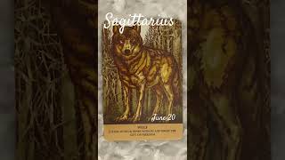 Sagittarius ♐️ June 20, Animal Oracle Reading