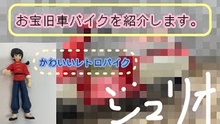 お宝旧車バイクを紹介します。90年代の人気車？私は好きです。ジョーカーの次に。