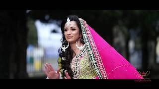 Royal Filming (Asian Wedding Videography & Cinematography) Mehndi videos