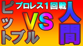 ピットブルＶＳ人間