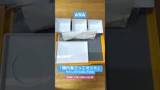 ANA「機内食ごっこセット」を久しぶりに出してみた