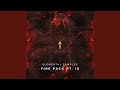 Fire 213
