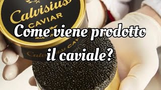 Come viene prodotto il caviale?