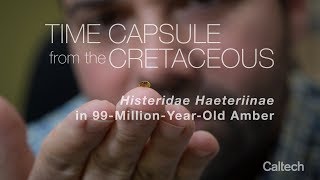 Time Capsule from the Cretaceous