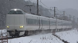 2022/01/12 5084M 特急 まいづる10号+はしだて4号 287系(FC05編成+FA05編成)