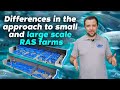 Top 7 DIFFERENCES in the approach to SMALL AND LARGE SCALE RAS fish farms | Business Ideas 2022