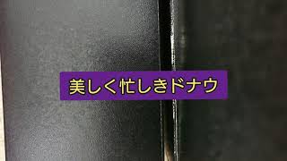 太鼓の達人 ニジイロ2021段位道場 玄人～達人 予想