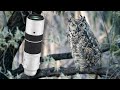 Beginner Bird & Wildlife Photographer Tips & Tricks I've Learned ft. Fujinon 150-600mm Zoom Len