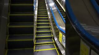 《22.03.10》Loooong escalator connecting the 1st floor and the underground Shinkansen platforms, Ueno.